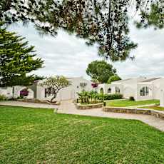 The Olive Tree Hotel